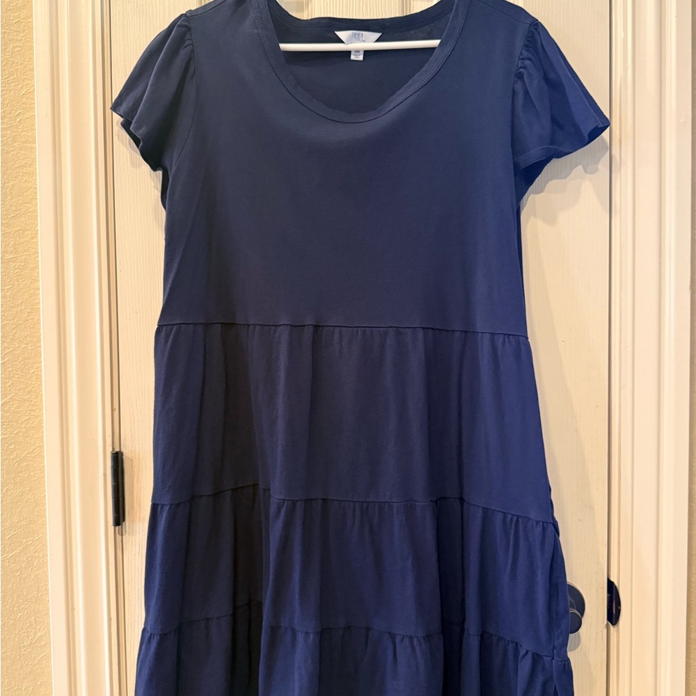 Time and Tru Dark Blue dress